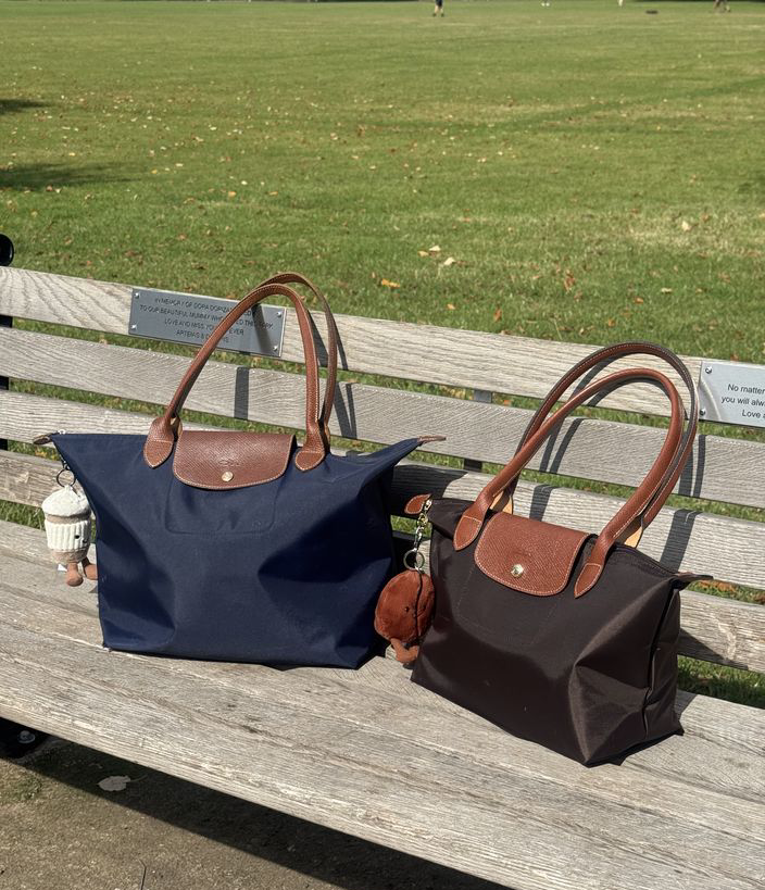 Longchamp Everyday Essentials
